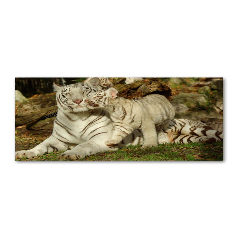 Tigers - Wrapped Canvas Print