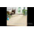 Godolphin Natural Wool & Sisal Solid Color Rug-813041776