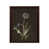 Brown Framed selected