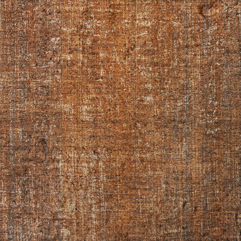 Tapis à poils longs de qualité supérieure lavable à la machine Dream ADS552, Paprika, 3 pi x 5 pi