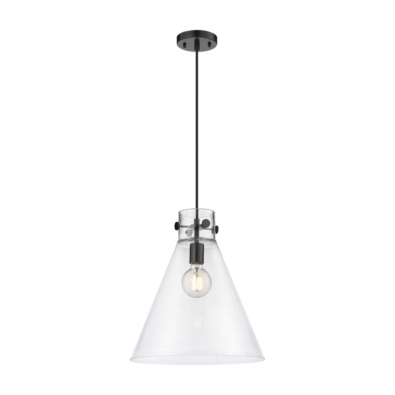 1 - Light Single Drop Pendant Pendant, Clear, 16.5" H x 14" W x 14" D, Matte Black