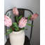 Protéa Pink Mink 29 po