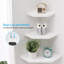 Bordie 2 Piece Floating Shelf