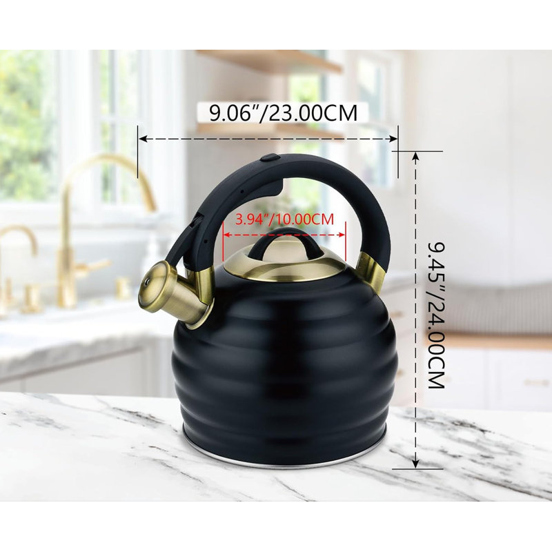Bouilloire en acier inoxydable de qualité supérieure avec poignée ergonomique, Noir