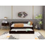 Lit plateforme simple avec lit gigogne-304594315