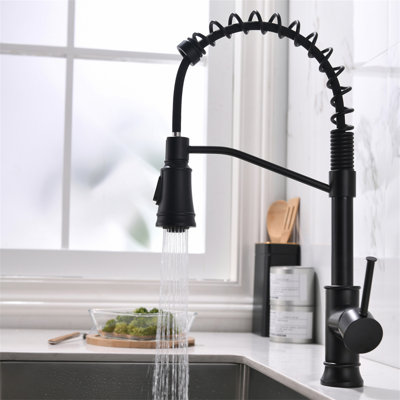 Robinet de cuisine avec douchette extractible et robinets d'évier de cuisine à poignée simple en acier inoxydable noir