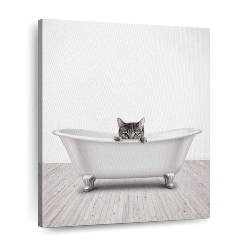 Baignoire animal timide, H 25 po x l 20 po