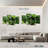 Yarlin Green Diet-108747343