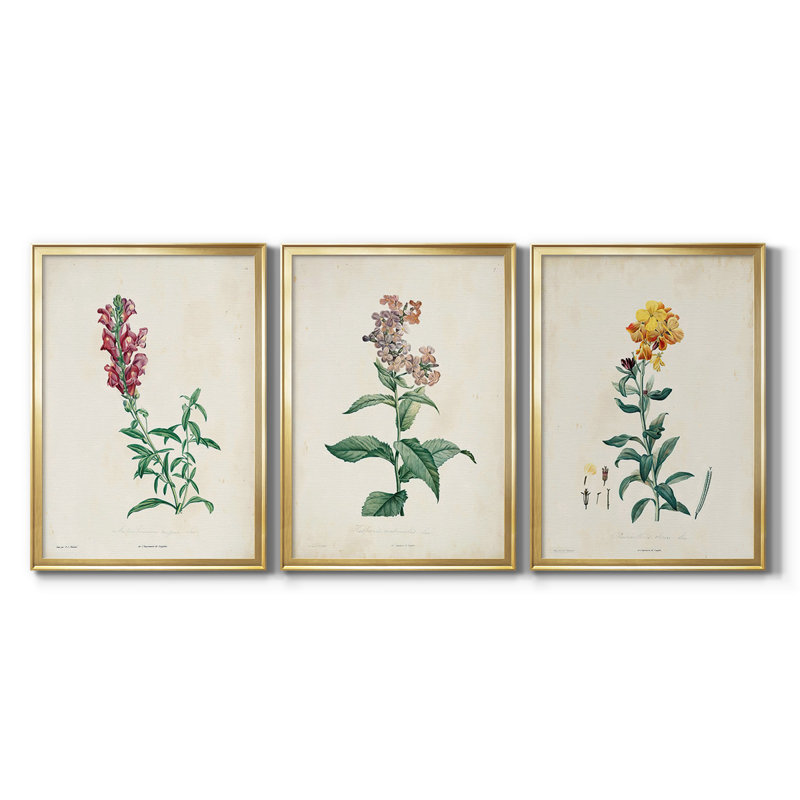 Traditional Botanical I - Toile tendue avec châssis sur mesure - 3 pièces, H 15 po x l 19 po, Doré