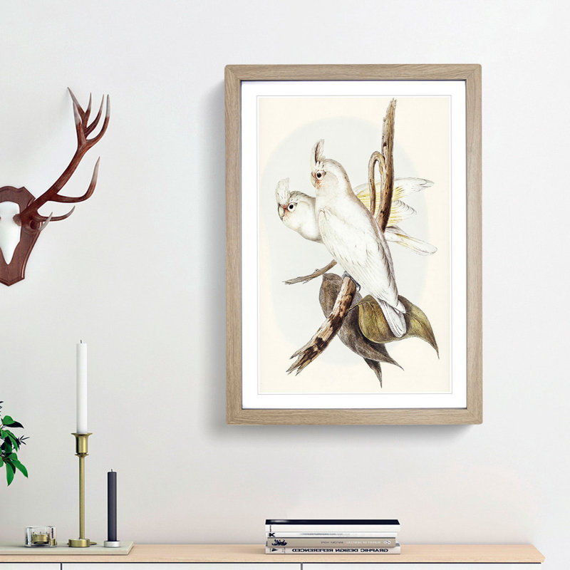 Blood-Stained Cockatoos by Elizabeth Gould - Picture Frame Art Print, Oak Framed, 48cm H x 36cm W x 2cm D
