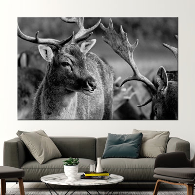 Print on Canvas