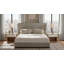 Paris Upholstered Bed-1309146759