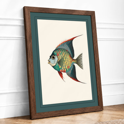 Tropical Fish Study Vintage - Framed Print
