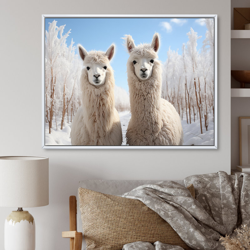 Alpagas Graceful Alpacas III - impression, H 16 po x l 32 po x P 1 po, Cadre flottant blanc