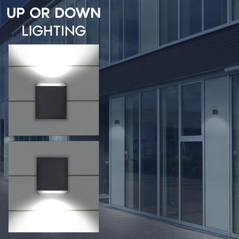 LED Wall Light