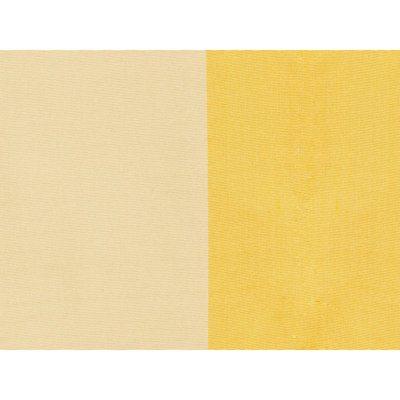 Petersburg Stp Silk Fabric