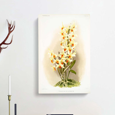 Magnolia Flowers Illustration Tab.63 by Frederick Sander - Wrapped Canvas