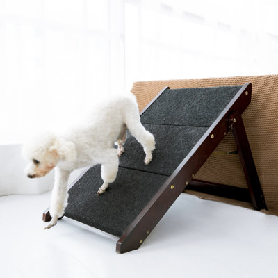 Escalier pliant pour chien en bois, marche et rampe ajustables 2-en-1 pour canapé-lit, échelle antidérapante portable pour petits et grands chiens et chats - 2 marches - brun