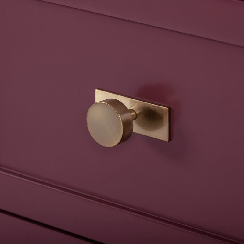 Alana 48 in. Single Sink Bathroom Vanity in Burgundy Red