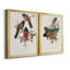 Ensemble de 2 reproductions sur toile Elegant Trogons-475934271-475934261