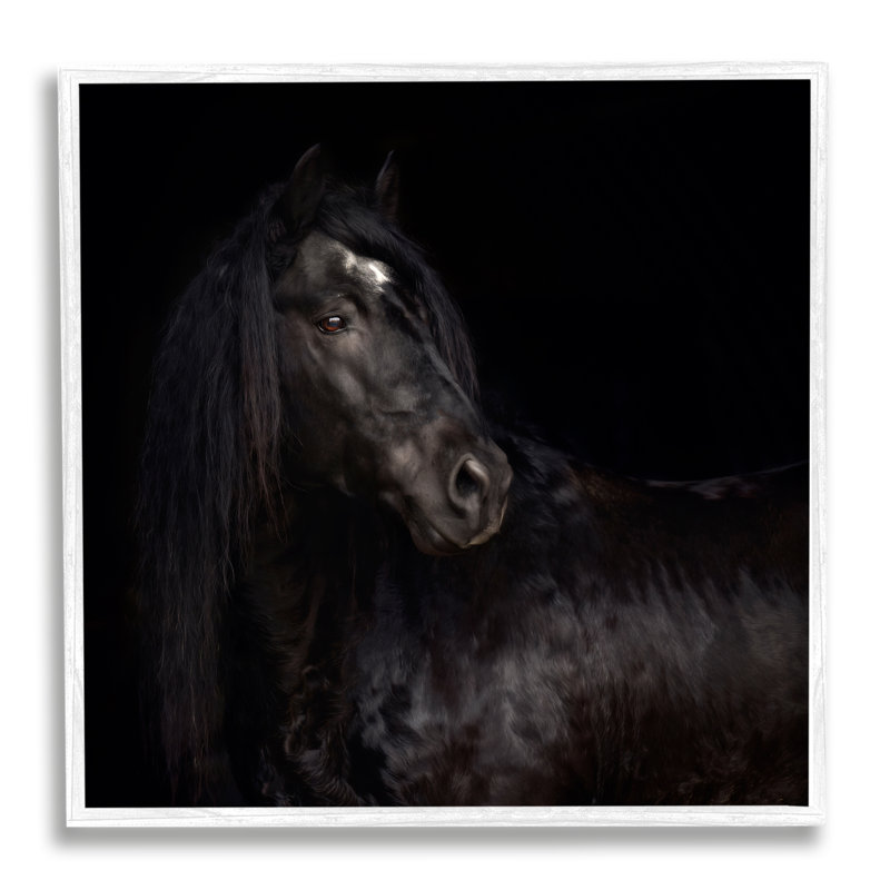 Ba-328 - Étalon noir élégant encadré sur bois par PHBurchett, Giclée encadrée blanc bord de mer, H 12 po x l 12 po x P 1,5 po