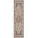 Allie Performance Oriental Rug
