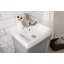 Ensemble de meuble-lavabo simple 17 po Gros-855764898
