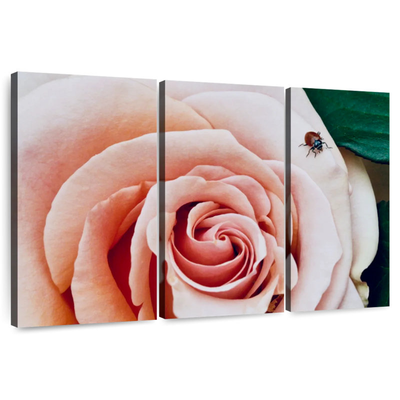 Ladybug On A Rose II, 32" H x 50" W