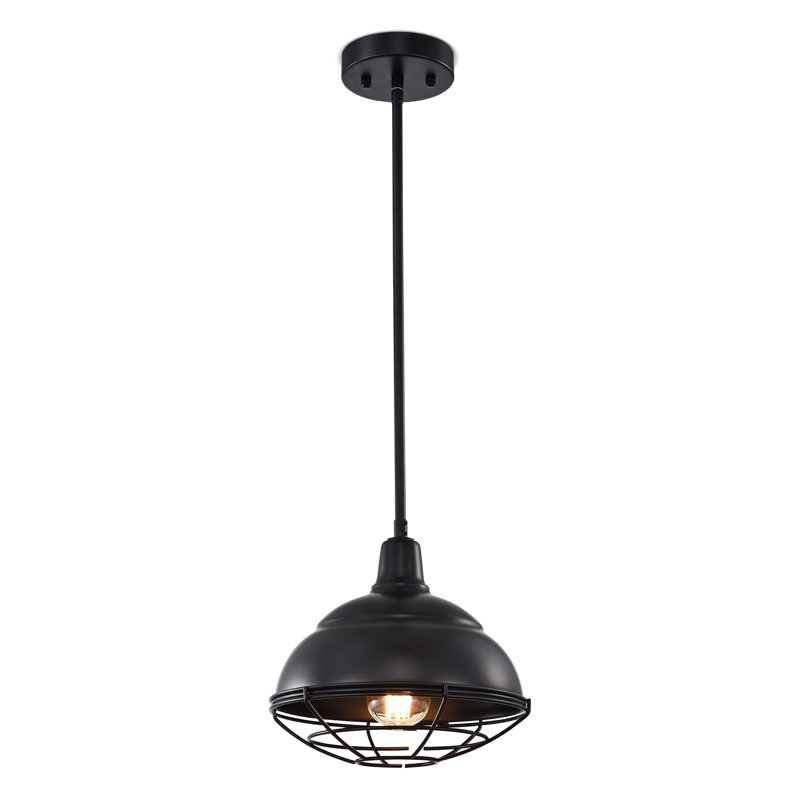 Luminaire suspendu pour dôme simple 1 lumières Thomason