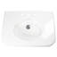Nantucket Sinks 31.5-inch Fireclay Wallmount Console Bath Sink