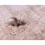Tapis transitionnel Gaastra couleur caramel-1622548265