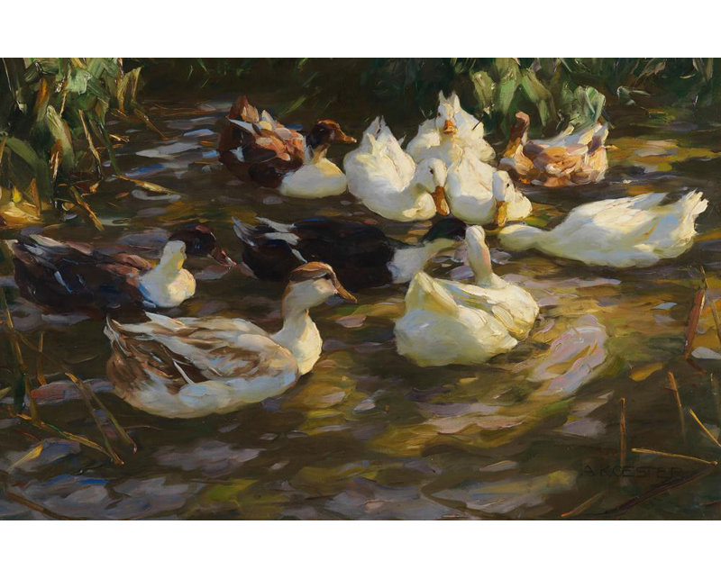 «Ducks in the Pond» par Alexander Koester - Art mural sur toile tendue avec châssis, H 14 po x l 18 po