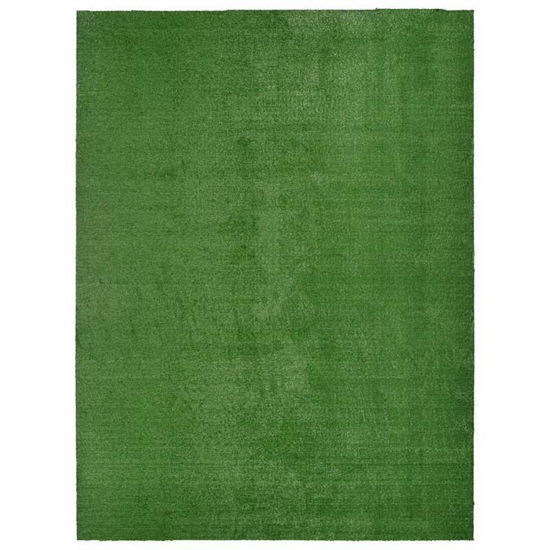 Tapis intérieur / extérieur en polypropylène touffeté à la machine Ashkhen, Rectangle 12 pi x 18 pi