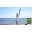 Girouette baleine