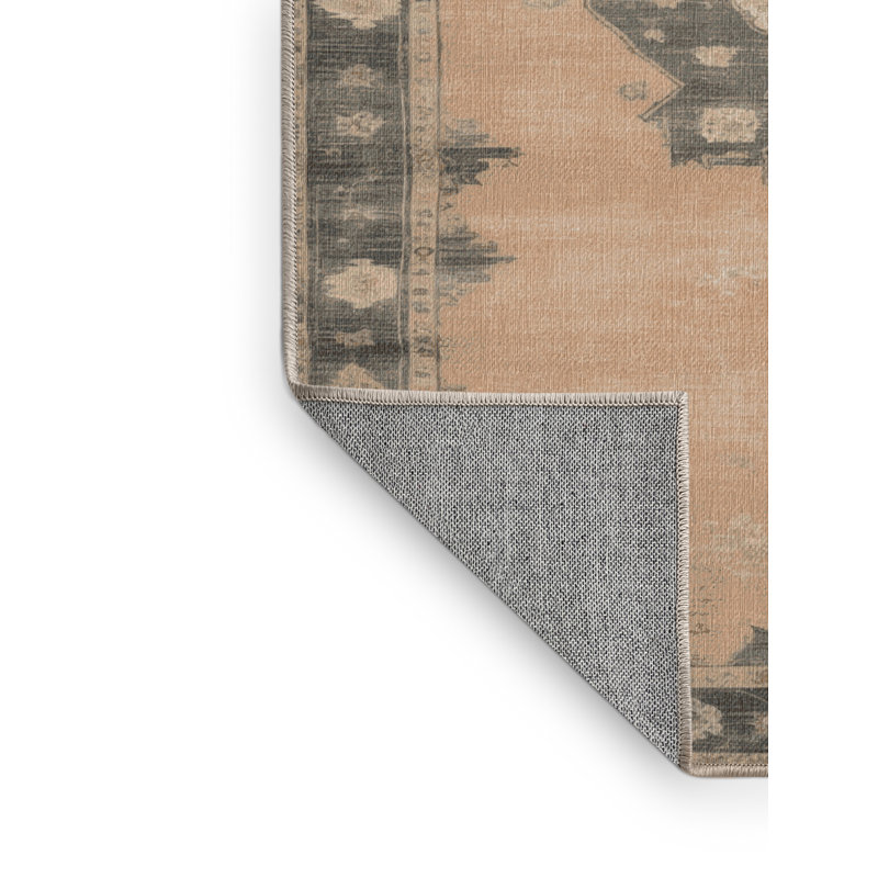 Machine Washable Overdyed Brown Area Rug