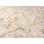 Hand-Knotted High-Quality Beige Area Rug