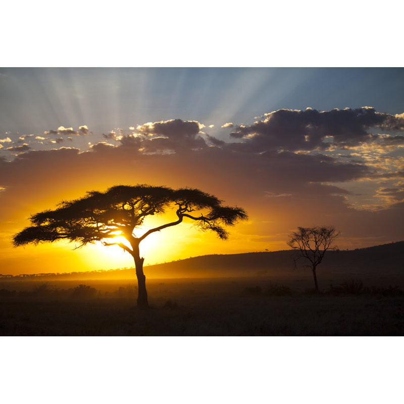 Ethereal African Sunset - Wrapped Canvas Print, 51cm H x 76cm W