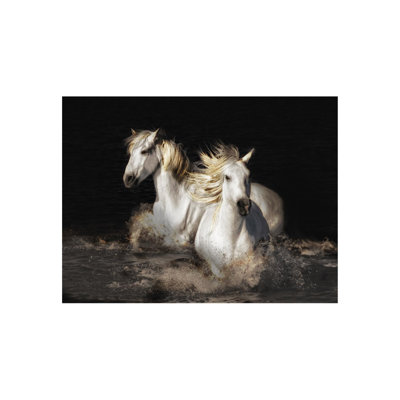 Camarague Horses Print by Bobbie Goodrich