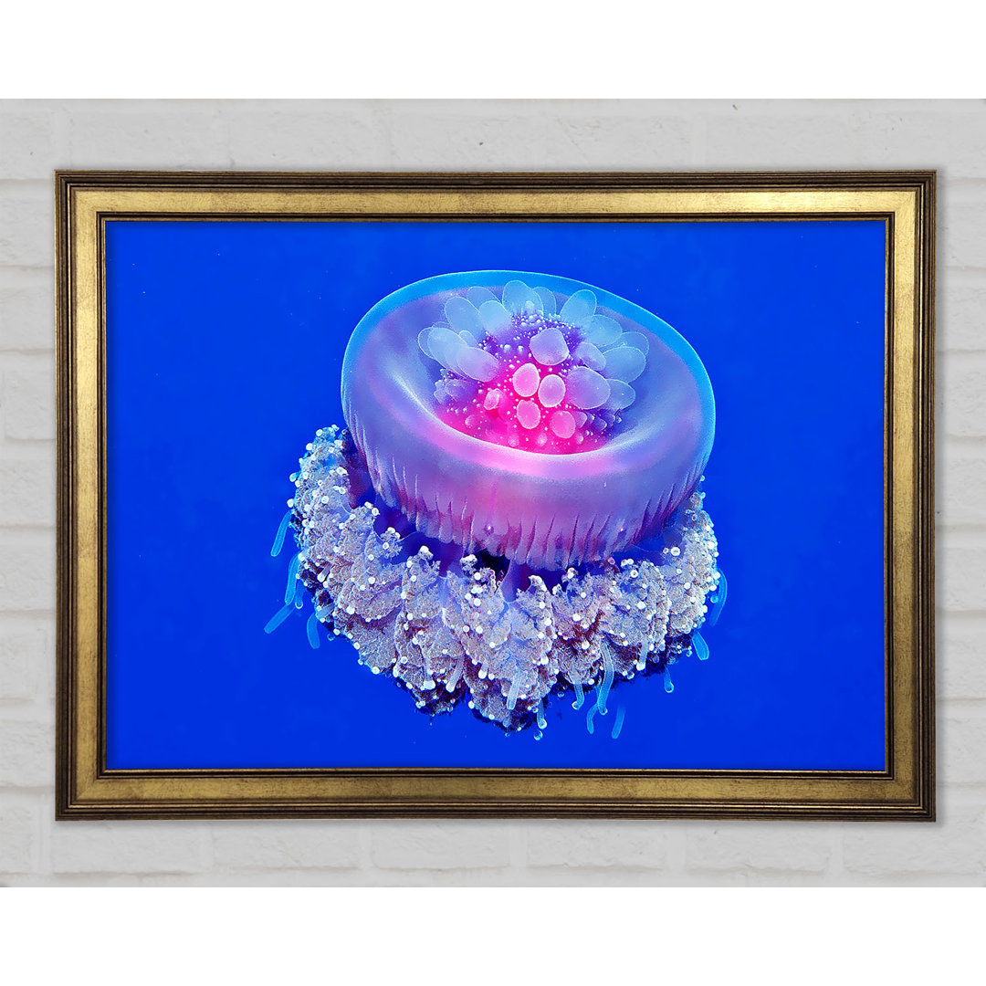 Gerahmtes Bild Jellyfish Pink