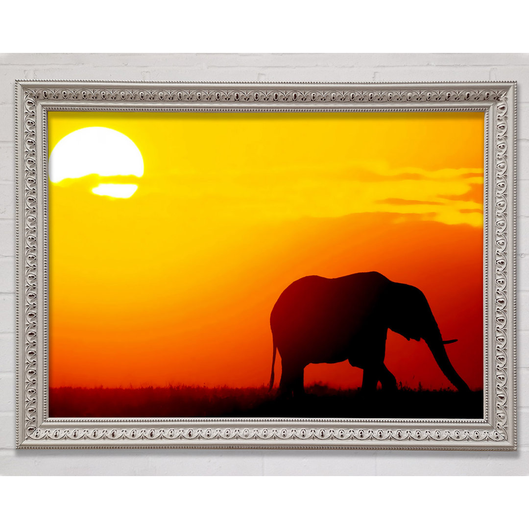 Goldener Elefant - Druck