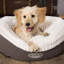 Ellen Polyester Pet Bed-374090504-374090507