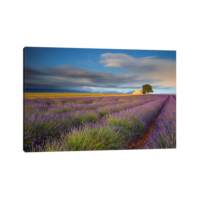 Worth the Wait, Provence, France 1 Piece Wrapped Canvas Wall Art, 101.6 cm H x 66.04 cm W x 3.175 cm D
