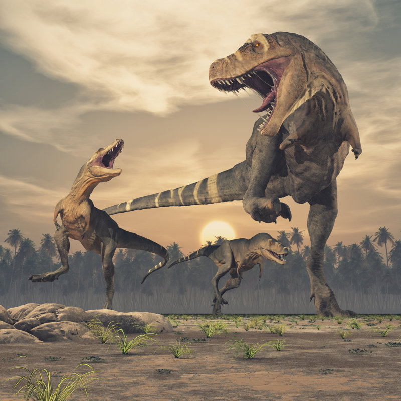 Carin Three Dinosaurs - Wrapped Canvas Print, 91cm H x 91cm W x 3.8cm D