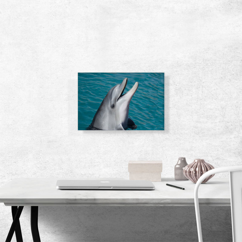Dolphin Home Decor - Reproduction de photo sur toile tendue, H 12 po x l 18 po x P 0,75 po