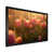 Black Single Picture Framed