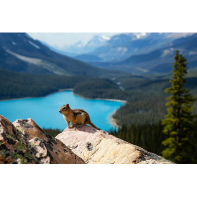 Chipmunk assis sur le dessus - Photographie sur toile tendue