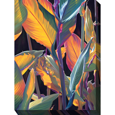 Art extérieur Mccaughey Tropicana