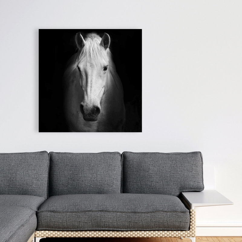 Cheval monochrome - toile noire, décoration de salon