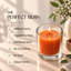 Bougies votives orange, paquet de 25, durée de combustion de 10 heures, sans parfum-858400198