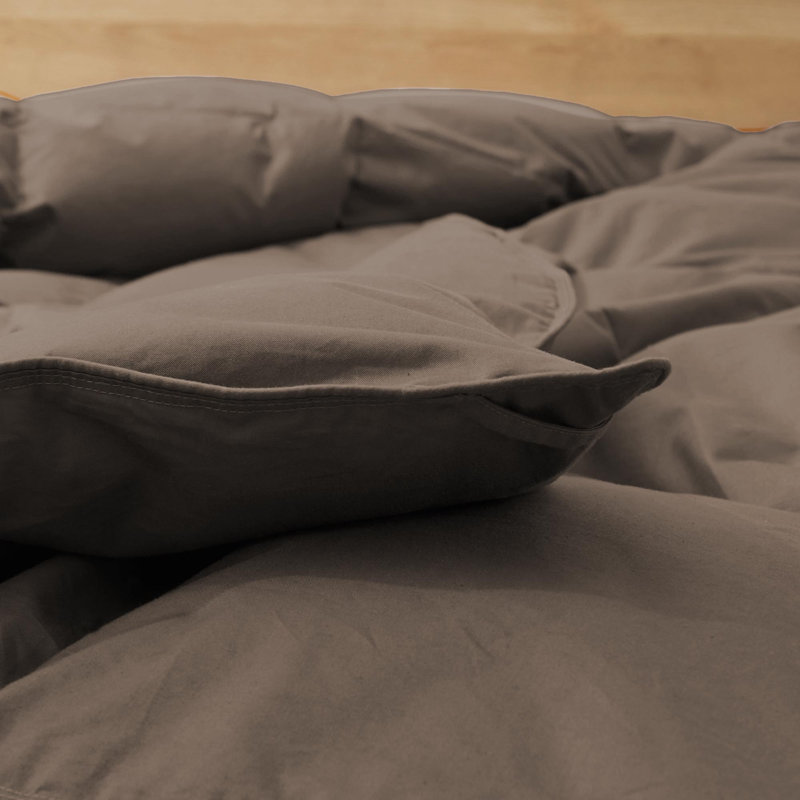All Season Cotton Down Comforter/Duvet Insert, Twin Comforter, Coffee Brown